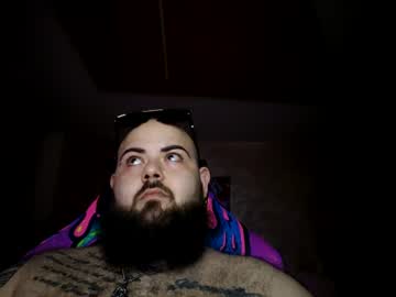 stallion_bear